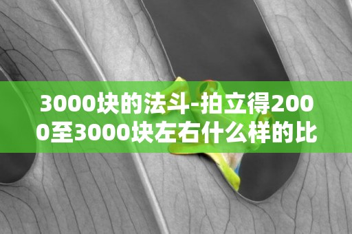 3000塊的法斗-拍立得2000至3000塊左右什么樣的比較好