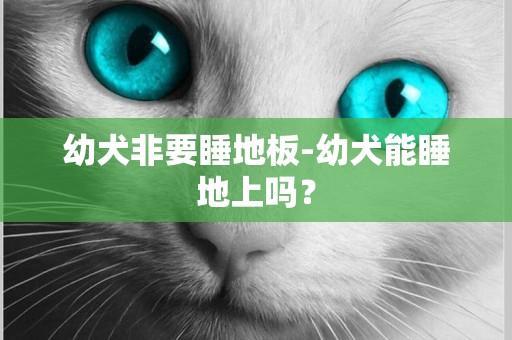 幼犬非要睡地板-幼犬能睡地上嗎？