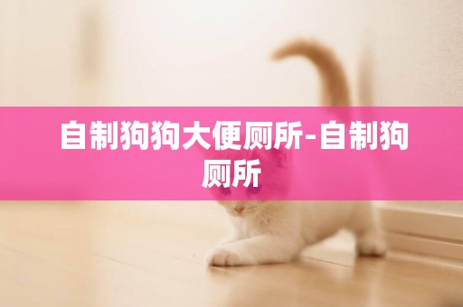 自制狗狗大便廁所-自制狗廁所