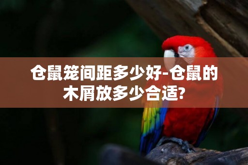 倉鼠籠間距多少好-倉鼠的木屑放多少合適?