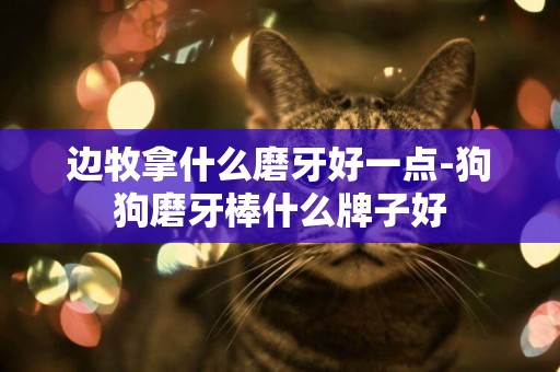 邊牧拿什么磨牙好一點-狗狗磨牙棒什么牌子好