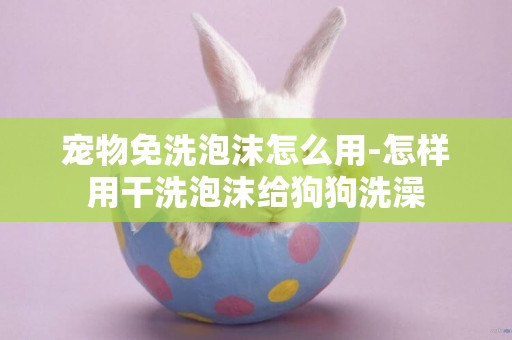 寵物免洗泡沫怎么用-怎樣用干洗泡沫給狗狗洗澡