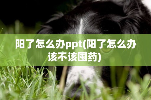 陽了怎么辦ppt(陽了怎么辦該不該囤藥) 