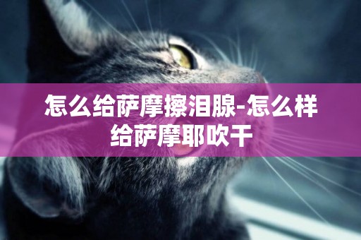 怎么給薩摩擦淚腺-怎么樣給薩摩耶吹干