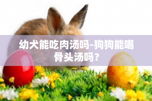 幼犬能吃肉湯嗎-狗狗能喝骨頭湯嗎？