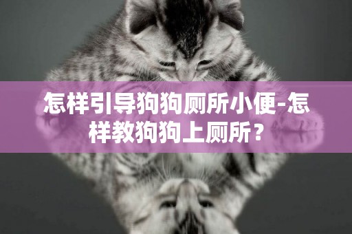 怎樣引導狗狗廁所小便-怎樣教狗狗上廁所？