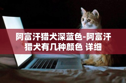 阿富汗獵犬深藍色-阿富汗獵犬有幾種顏色 詳細