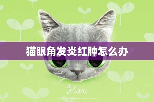 貓眼角發炎紅腫怎么辦