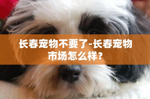 長春寵物不要了-長春寵物市場怎么樣？