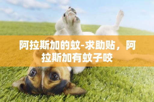 阿拉斯加的蚊-求助貼，阿拉斯加有蚊子咬