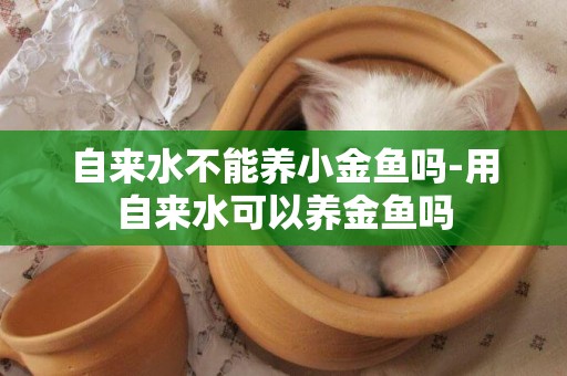 自來水不能養小金魚嗎-用自來水可以養金魚嗎