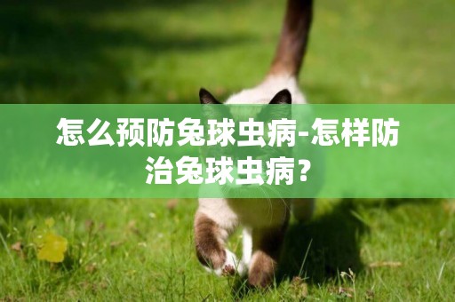 怎么預防兔球蟲病-怎樣防治兔球蟲病？