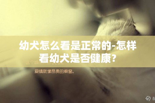 幼犬怎么看是正常的-怎樣看幼犬是否健康？