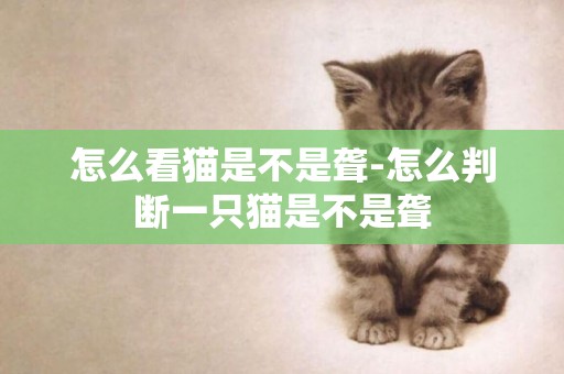 怎么看貓是不是聾-怎么判斷一只貓是不是聾