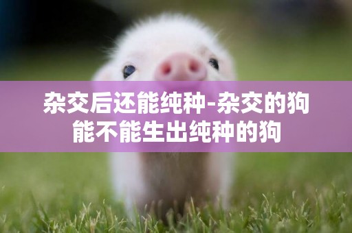 雜交后還能純種-雜交的狗能不能生出純種的狗