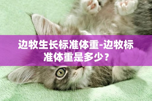 邊牧生長標準體重-邊牧標準體重是多少？