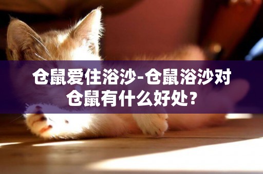 倉鼠愛住浴沙-倉鼠浴沙對倉鼠有什么好處？