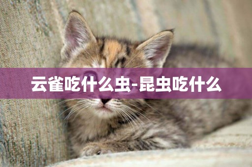 云雀吃什么蟲-昆蟲吃什么