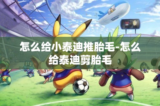 怎么給小泰迪推胎毛-怎么給泰迪剪胎毛