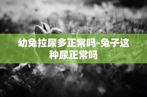 幼兔拉尿多正常嗎-兔子這種尿正常嗎