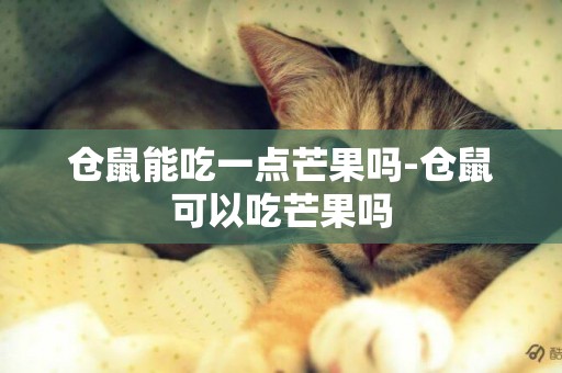 倉鼠能吃一點芒果嗎-倉鼠可以吃芒果嗎