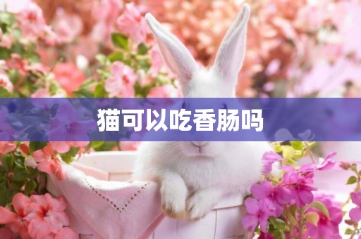 貓可以吃香腸嗎