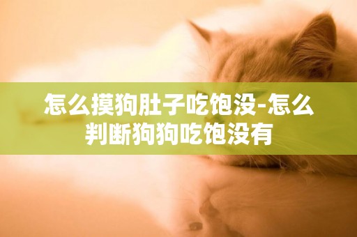 怎么摸狗肚子吃飽沒-怎么判斷狗狗吃飽沒有