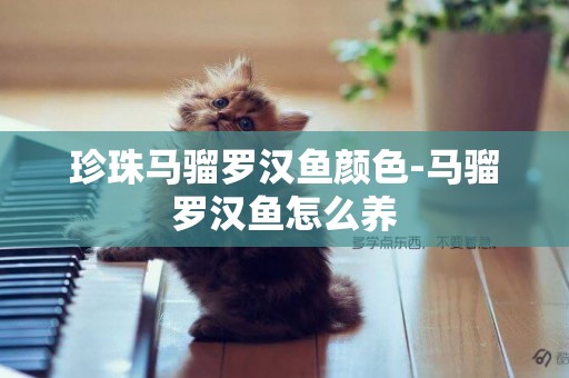 珍珠馬騮羅漢魚顏色-馬騮羅漢魚怎么養