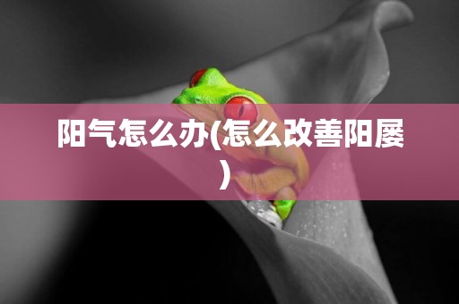 陽氣怎么辦(怎么改善陽屢) 