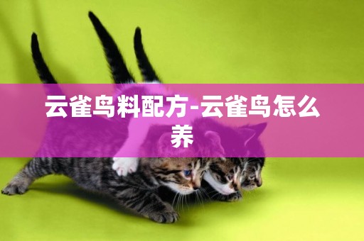 云雀鳥料配方-云雀鳥怎么養