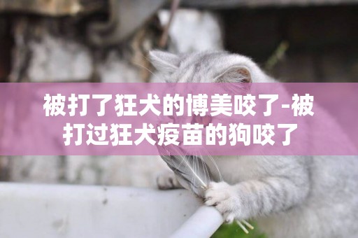 被打了狂犬的博美咬了-被打過狂犬疫苗的狗咬了