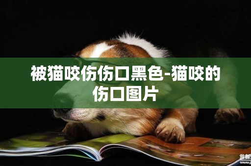 被貓咬傷傷口黑色-貓咬的傷口圖片