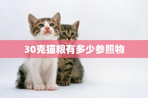 30克貓糧有多少參照物