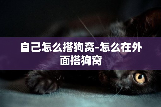 自己怎么搭狗窩-怎么在外面搭狗窩