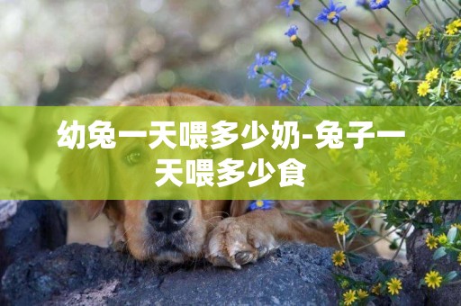 幼兔一天喂多少奶-兔子一天喂多少食
