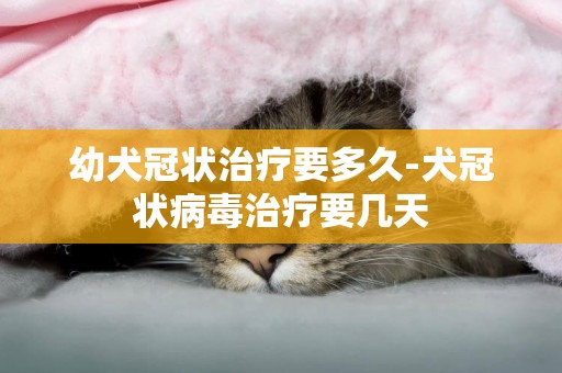 幼犬冠狀治療要多久-犬冠狀病毒治療要幾天