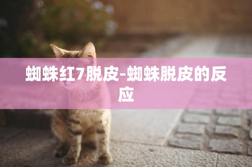 蜘蛛紅7脫皮-蜘蛛脫皮的反應