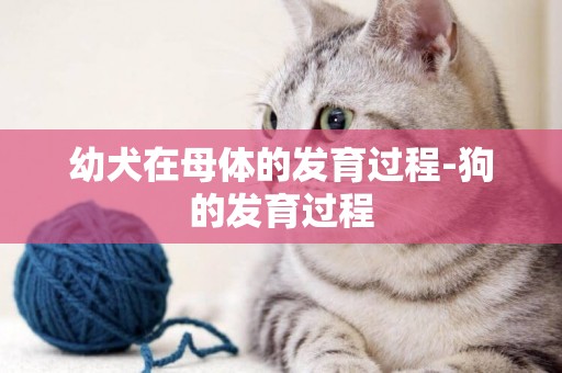 幼犬在母體的發育過程-狗的發育過程