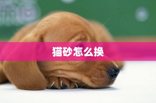 貓砂怎么換