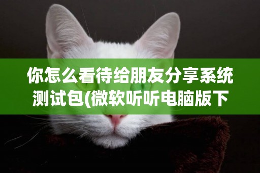 你怎么看待給朋友分享系統測試包(微軟聽聽電腦版下載) 