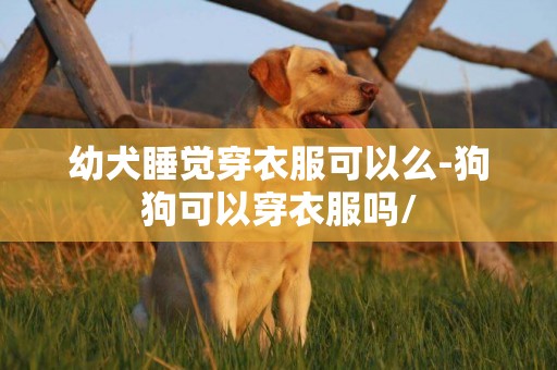 幼犬睡覺穿衣服可以么-狗狗可以穿衣服嗎/
