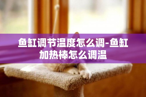 魚缸調節溫度怎么調-魚缸加熱棒怎么調溫