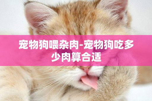 寵物狗喂雜肉-寵物狗吃多少肉算合適