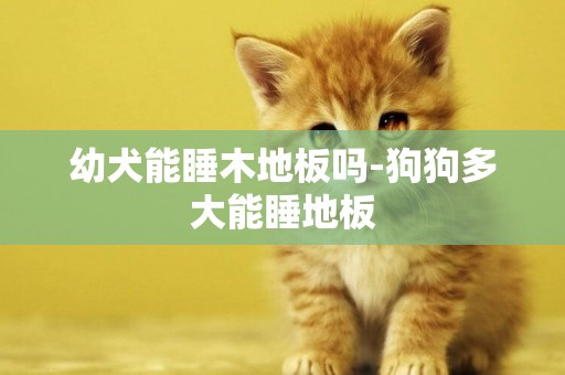 幼犬能睡木地板嗎-狗狗多大能睡地板