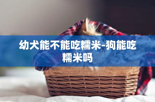 幼犬能不能吃糯米-狗能吃糯米嗎