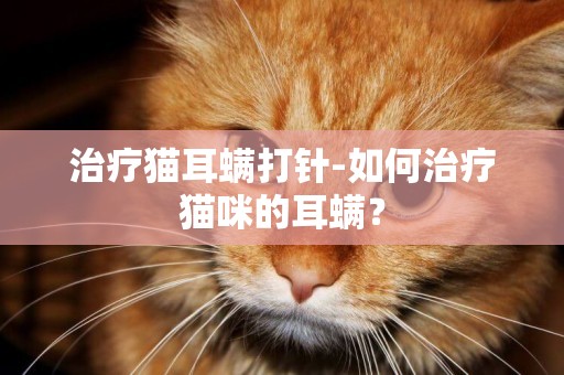 治療貓耳螨打針-如何治療貓咪的耳螨？