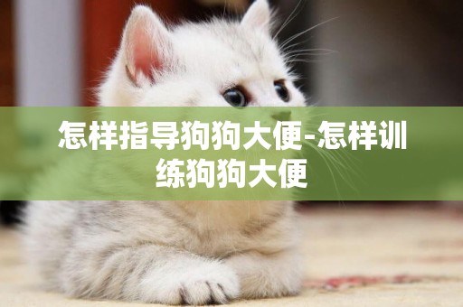 怎樣指導狗狗大便-怎樣訓練狗狗大便