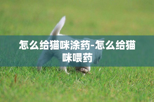 怎么給貓咪涂藥-怎么給貓咪喂藥