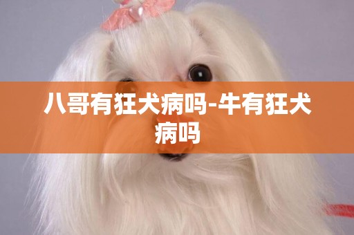 八哥有狂犬病嗎-牛有狂犬病嗎