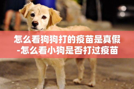 怎么看狗狗打的疫苗是真假-怎么看小狗是否打過疫苗